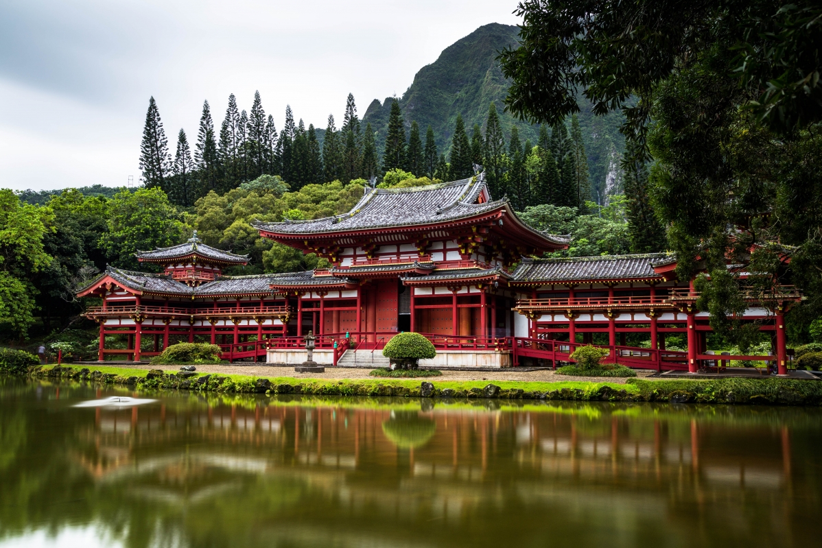 Tree temple and pond HD 4K landscape