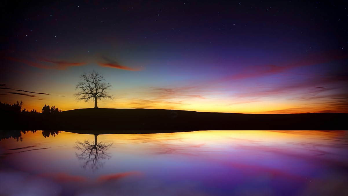 Tree lake dusk sunset autumn clouds