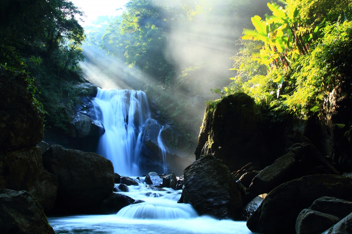 Stone river waterfall sunlight tree