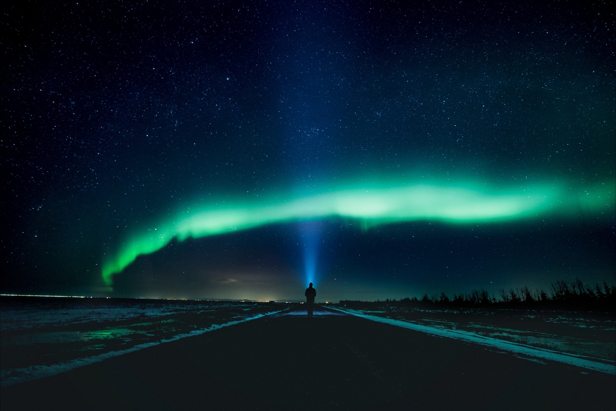 The stars are shining in the sky
