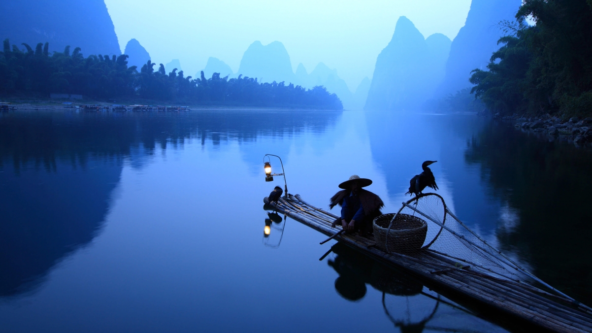 Landscape scenery bamboo row river water 4k wind