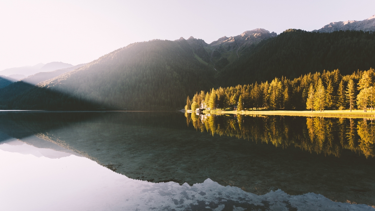 Landscape reflection forest lake still