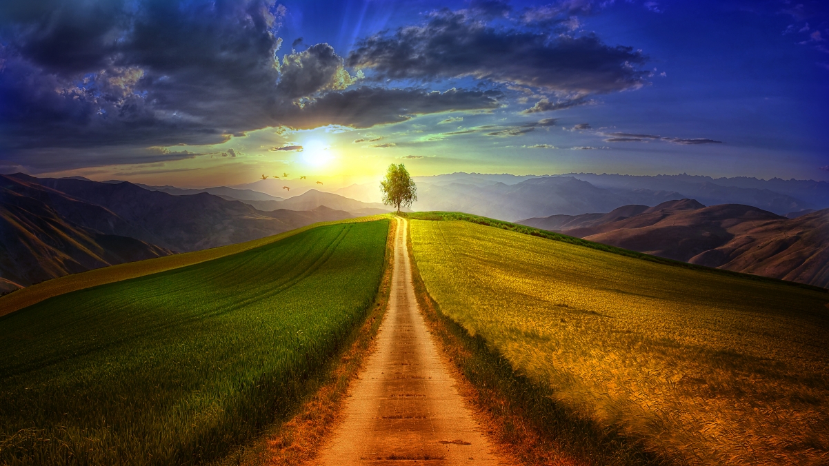 The tree road on the mountain and the beautiful sky 4