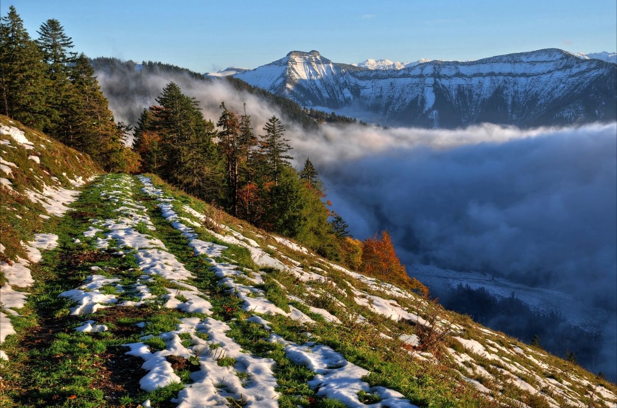 Hillside snow trees mountain mist 4