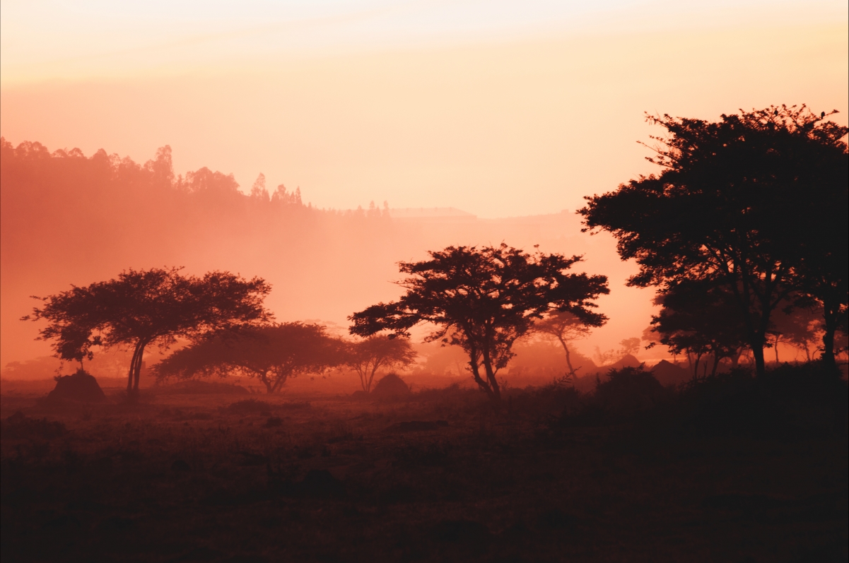 Mountains, fog, woods, 4K landscape wallpaper
