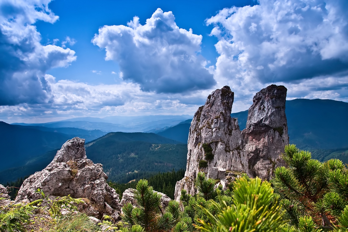 Mountain rocks trees bushes 4K wind