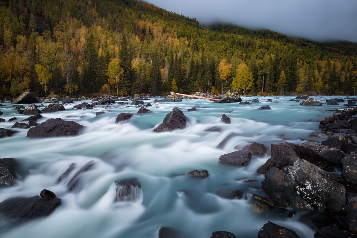 Mountain forest small stream water 4k wind