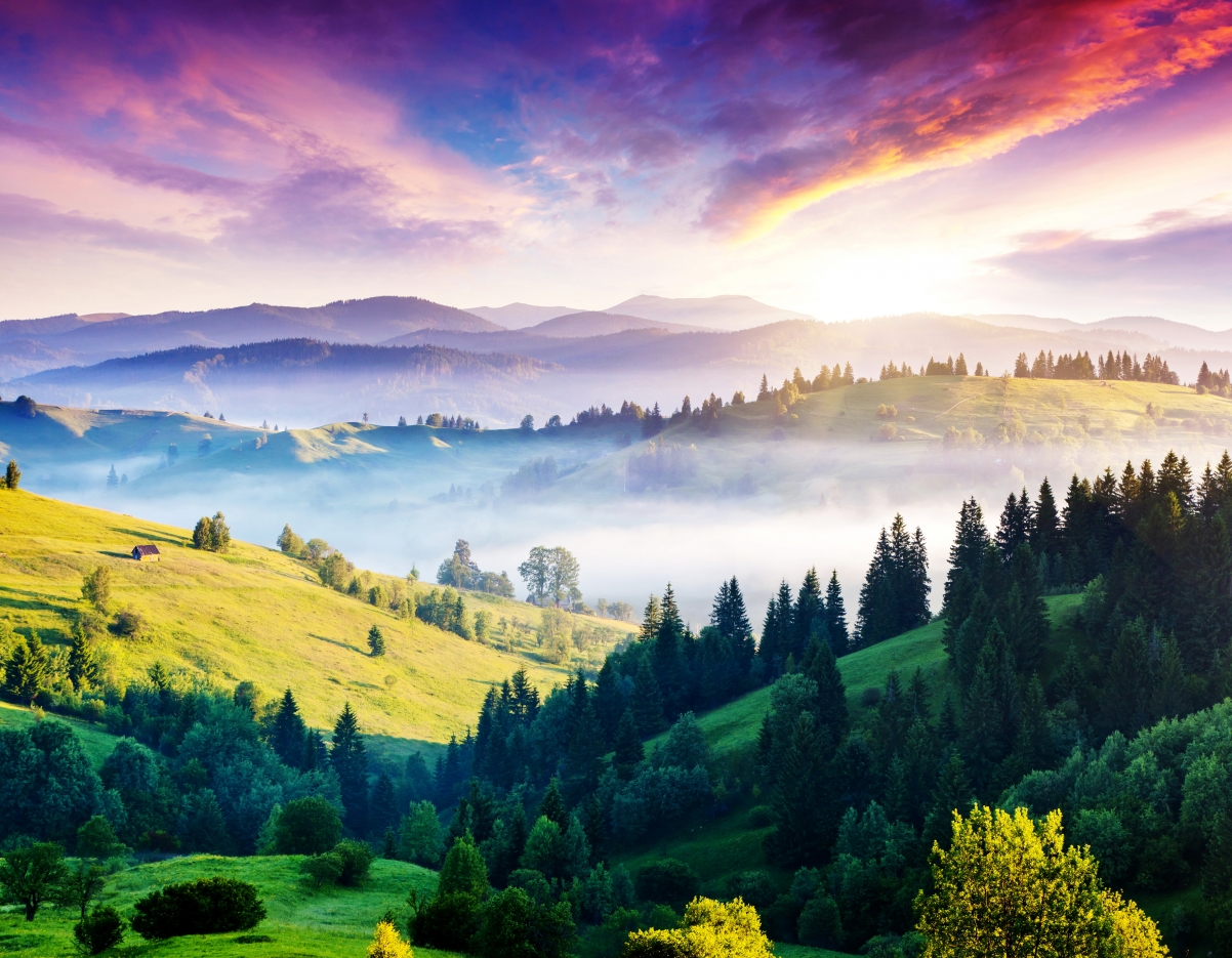 Mountain forest sky cloud 4k landscape
