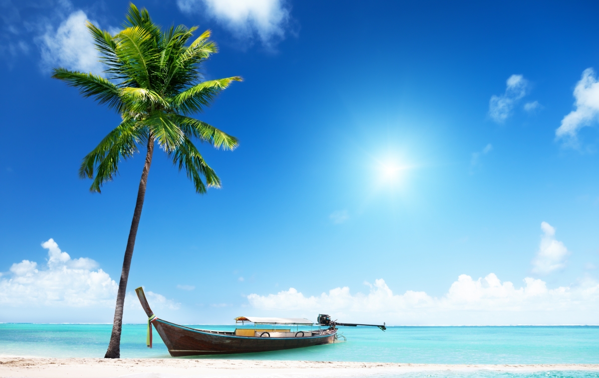 Sand sea beach sun brown