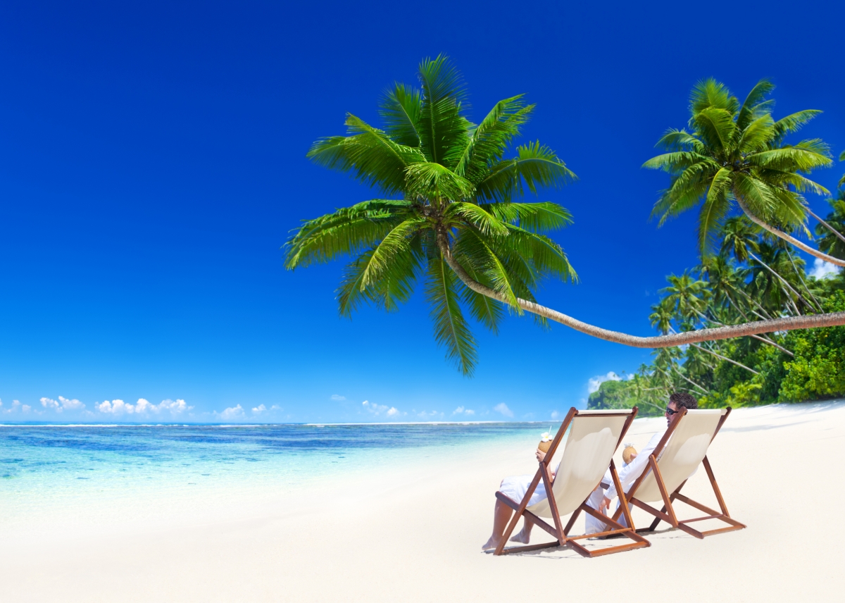 Beach, blue sea ocean, palm