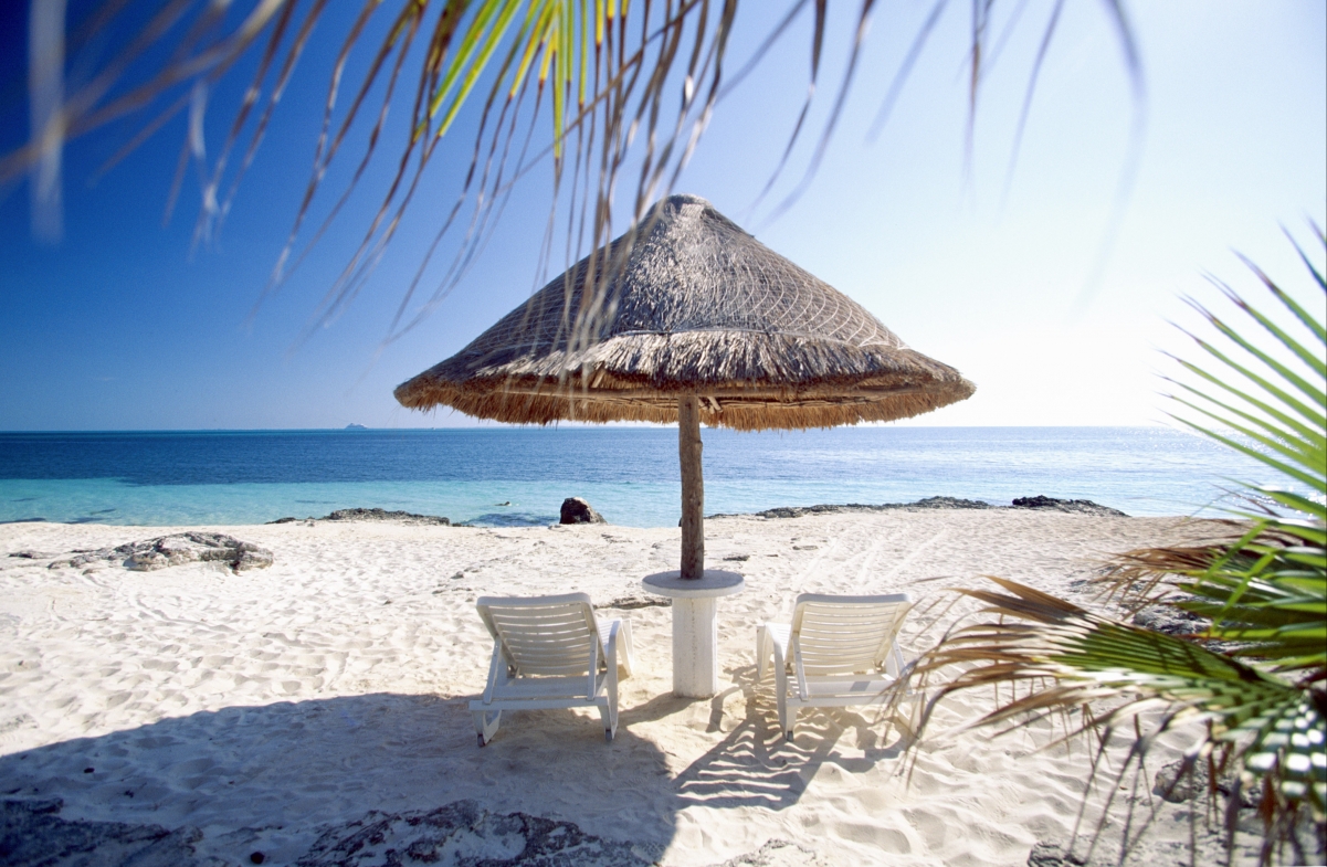 Beach palm tree gazebo 4K landscape
