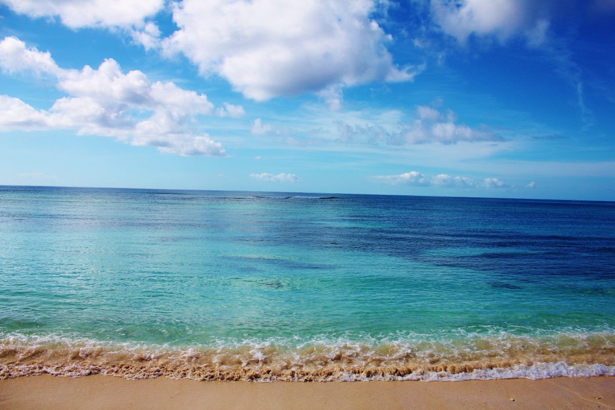 Beach sea water waves sea landscape