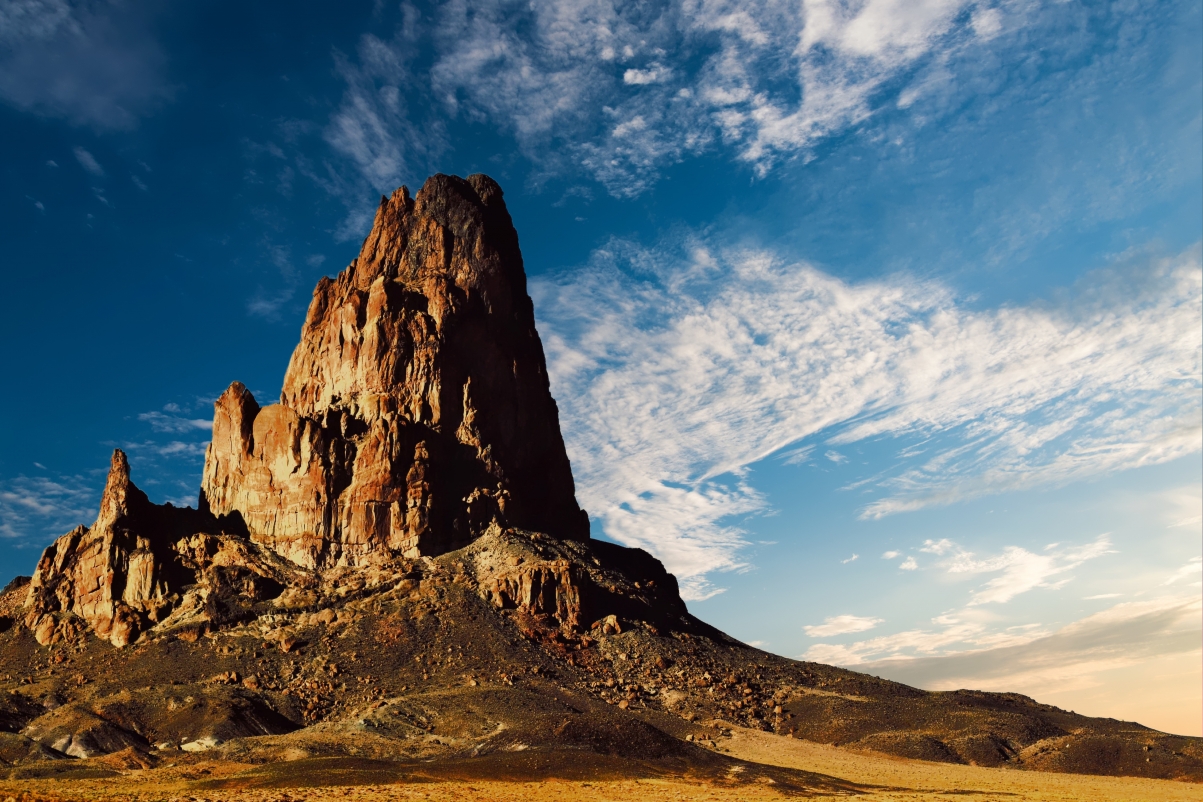 Desert nature arizona