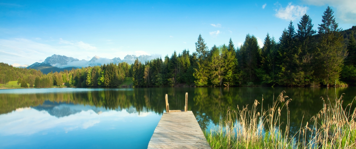 Forest lake beautiful landscape reflection 34