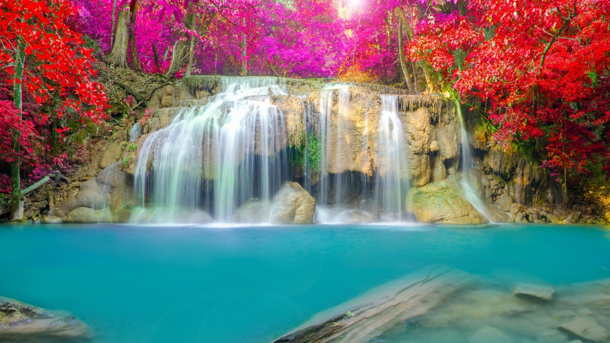 Forest red and pink foliage waterfall