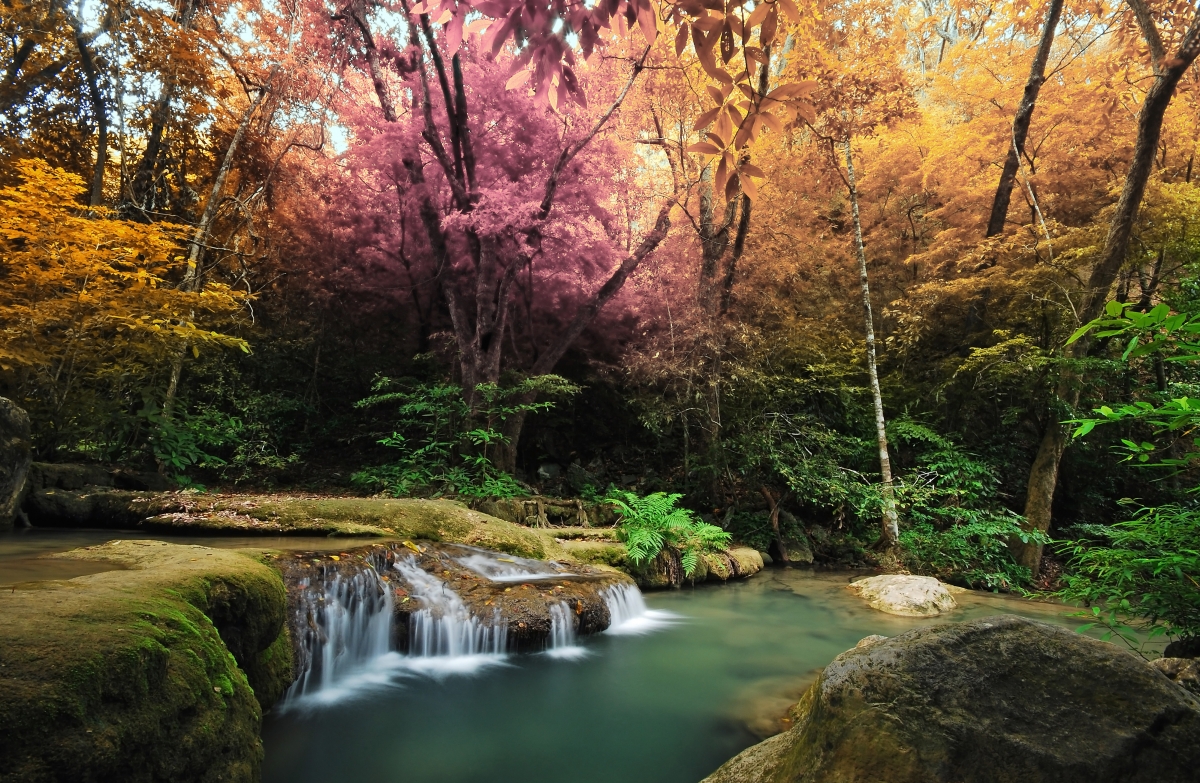 Forest waterfall beautiful scenery 4K wall