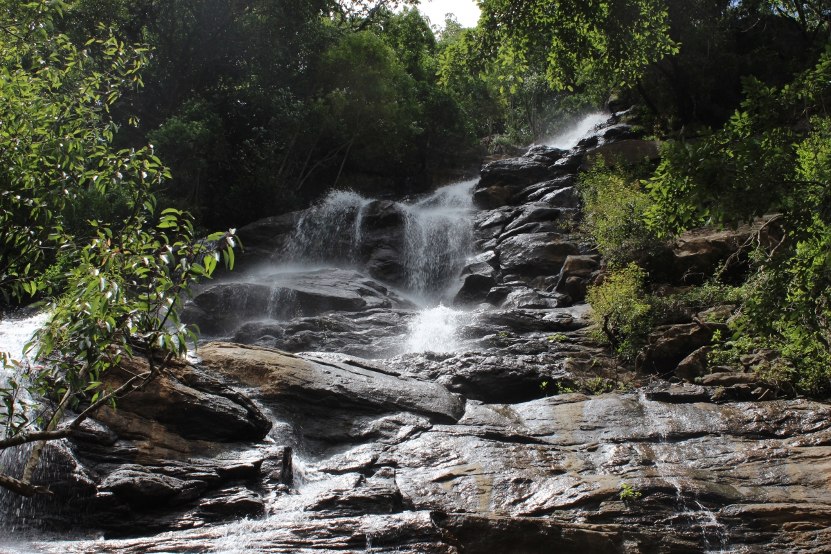 Forest waterfall 4k landscape picture