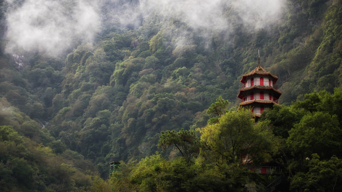 Forest, mountain fog, tower, Taiwanese scenery 4