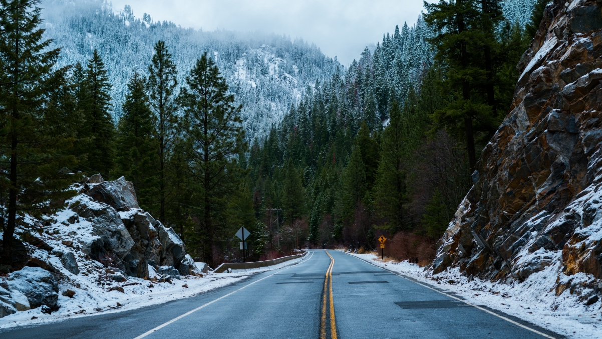 Forest, road, snow, winter landscape 4