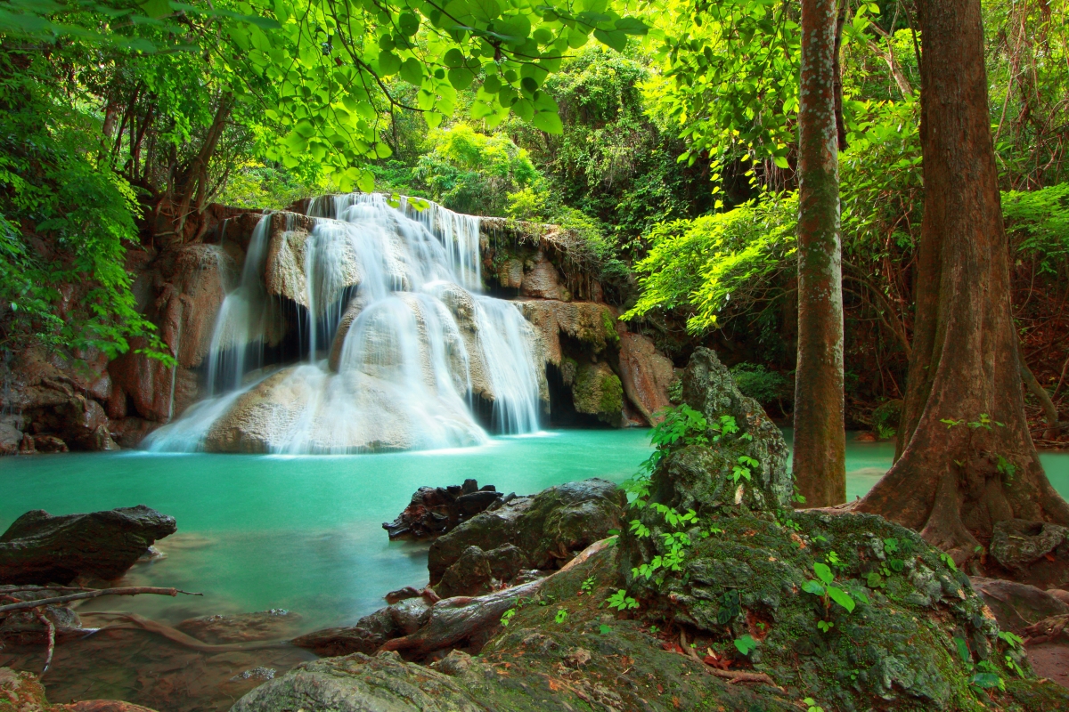 Forest Nature River Waterfall 4K