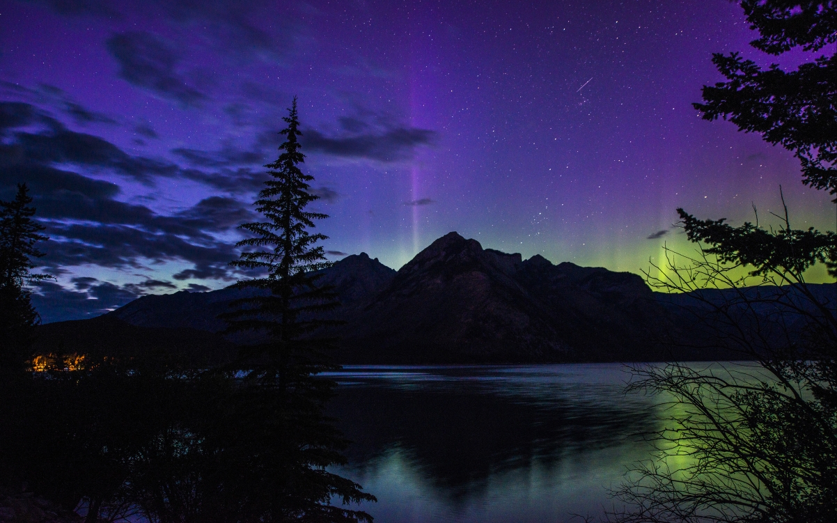 Aurora borealis in the forest at night