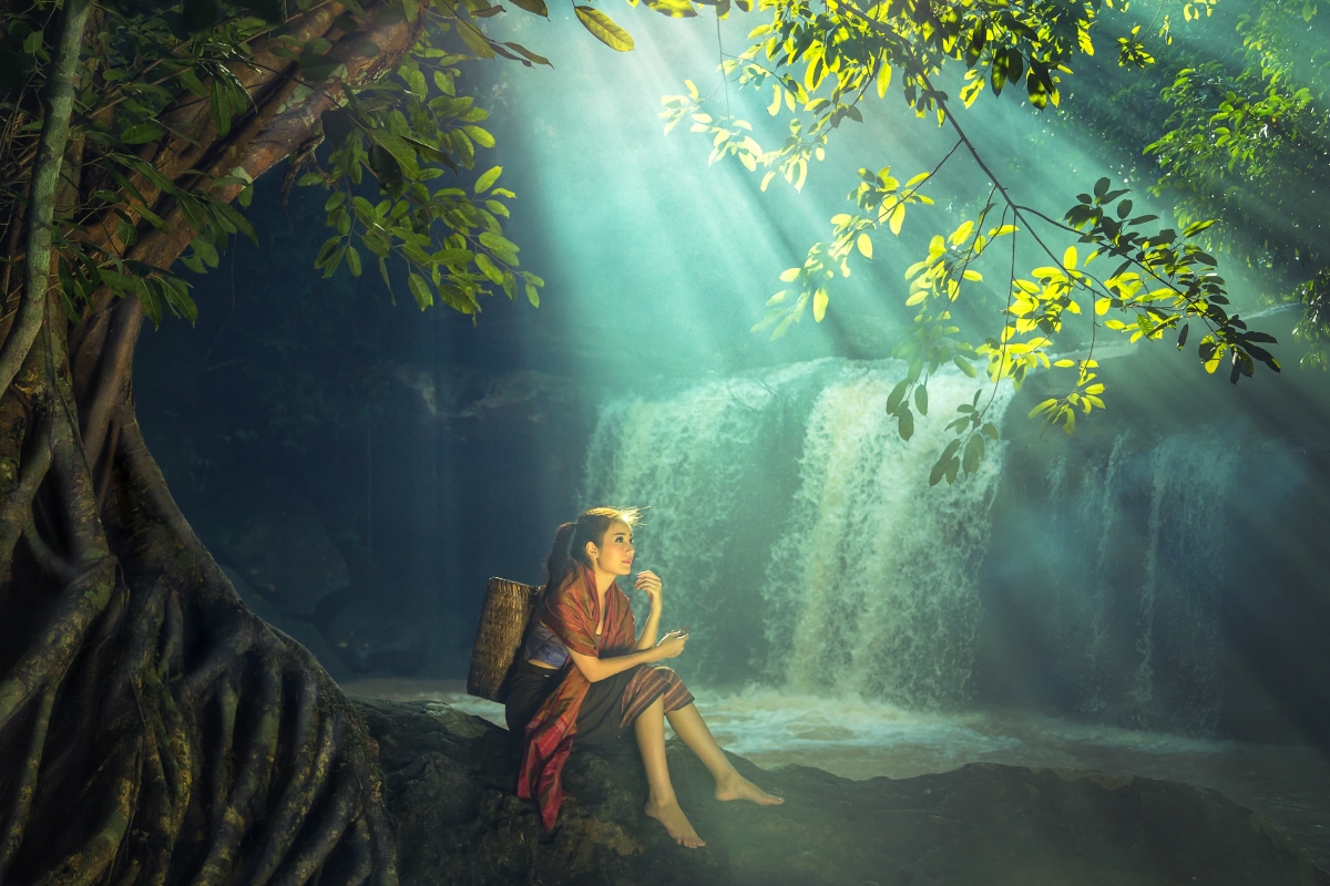 Forest trees waterfall sunny beauty