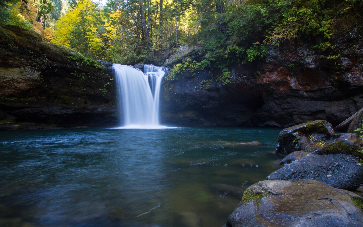 Forest waterfall natural scenery 4K wall