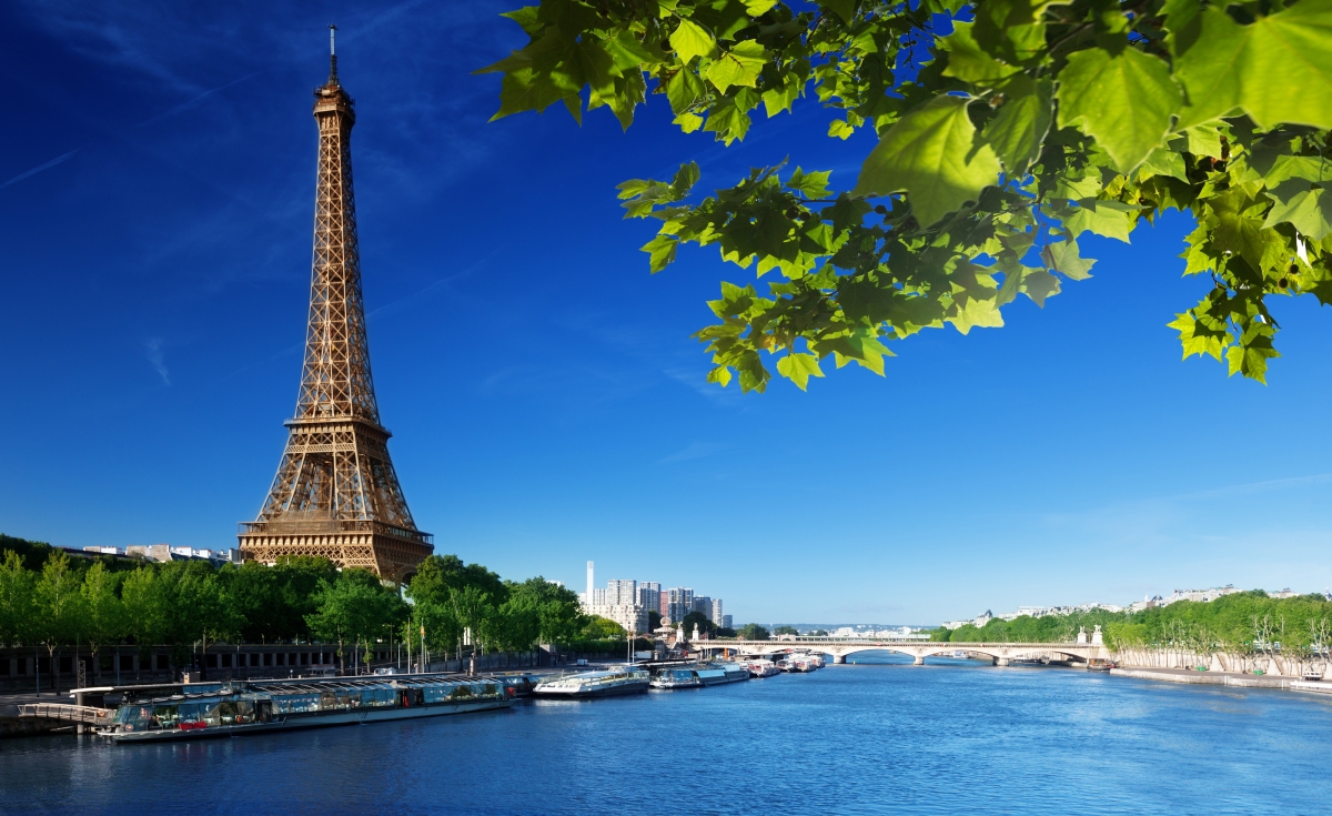 Seine, green leaves, summer, day