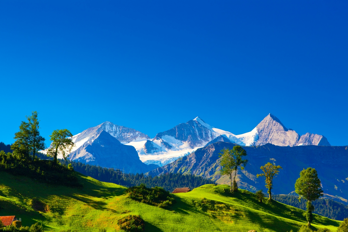 Swiss Alps, mountains, house