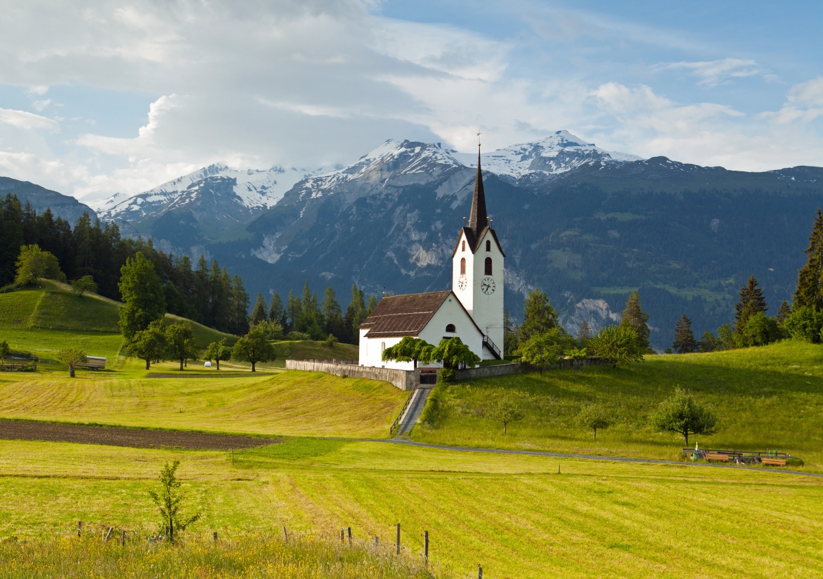Swiss Alps Meadows