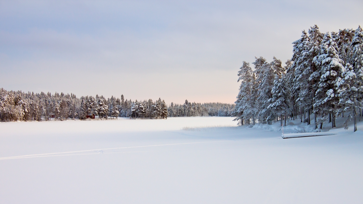 Sweden Snow 4K Landscape Wallpaper