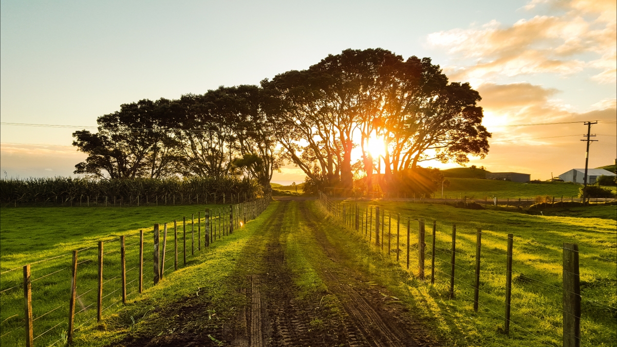Sunset landscape 5k landscape wallpaper