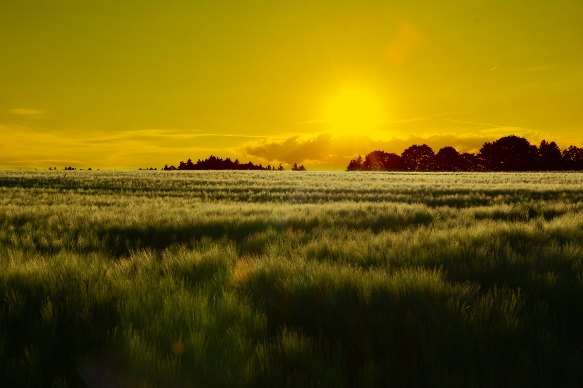 Sunset Landscape 6K Wallpaper