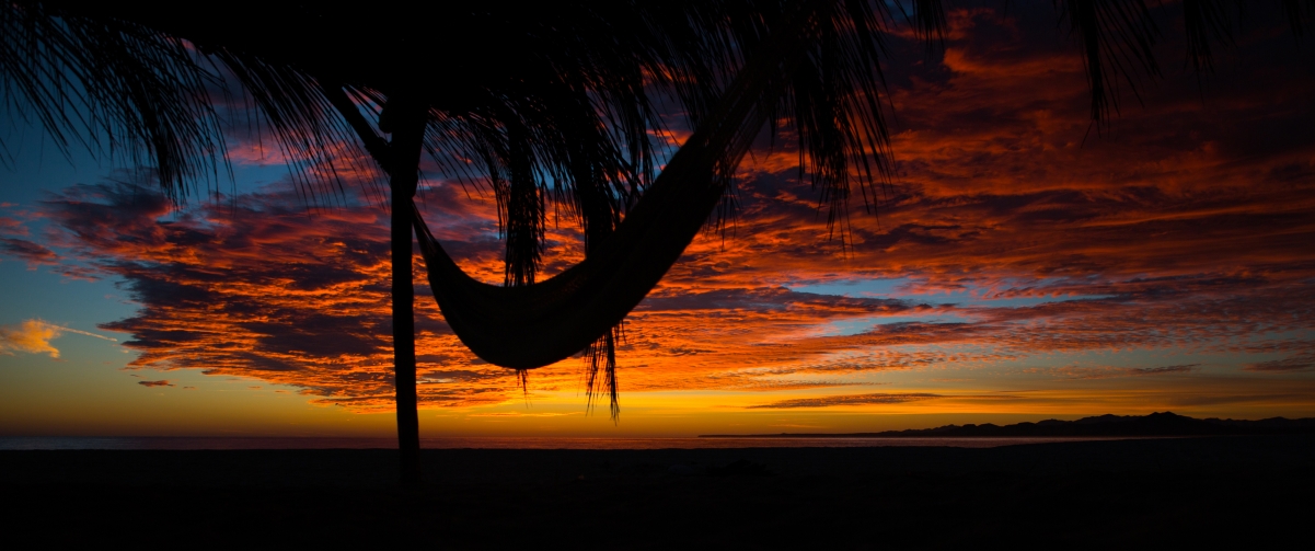 Sunset clouds hammock palm trees 34