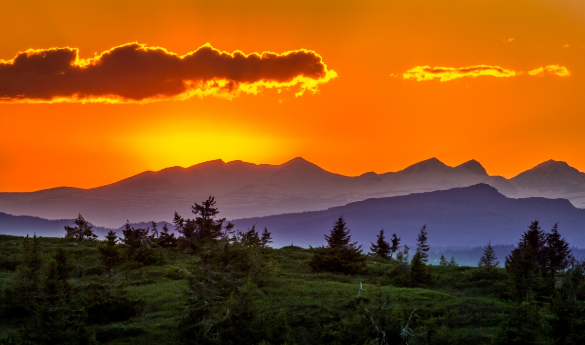 Sunset tree mountain nature sun day
