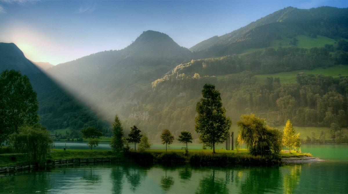 Sunrise tree tranquil hill sun
