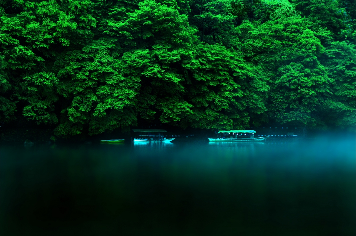 Honshu Island, Japan, natural scenery, trees