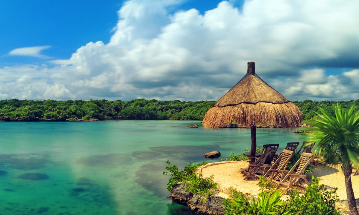Tropical Paradise Beach Coast 4K Wind