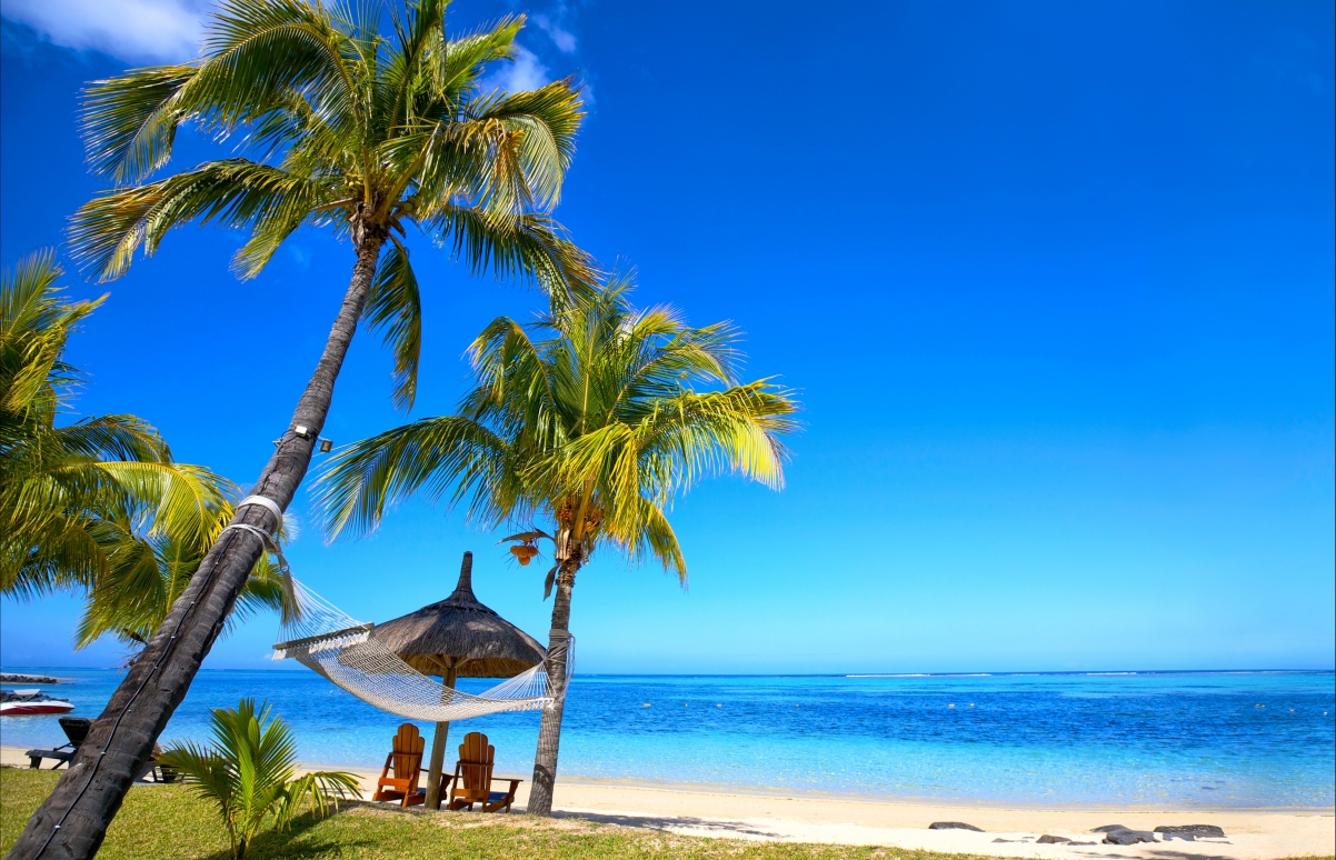 Tropical paradise, beach, palm trees, blue