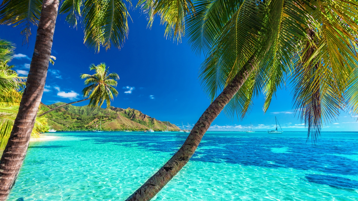 Tropical paradise summer sea beach