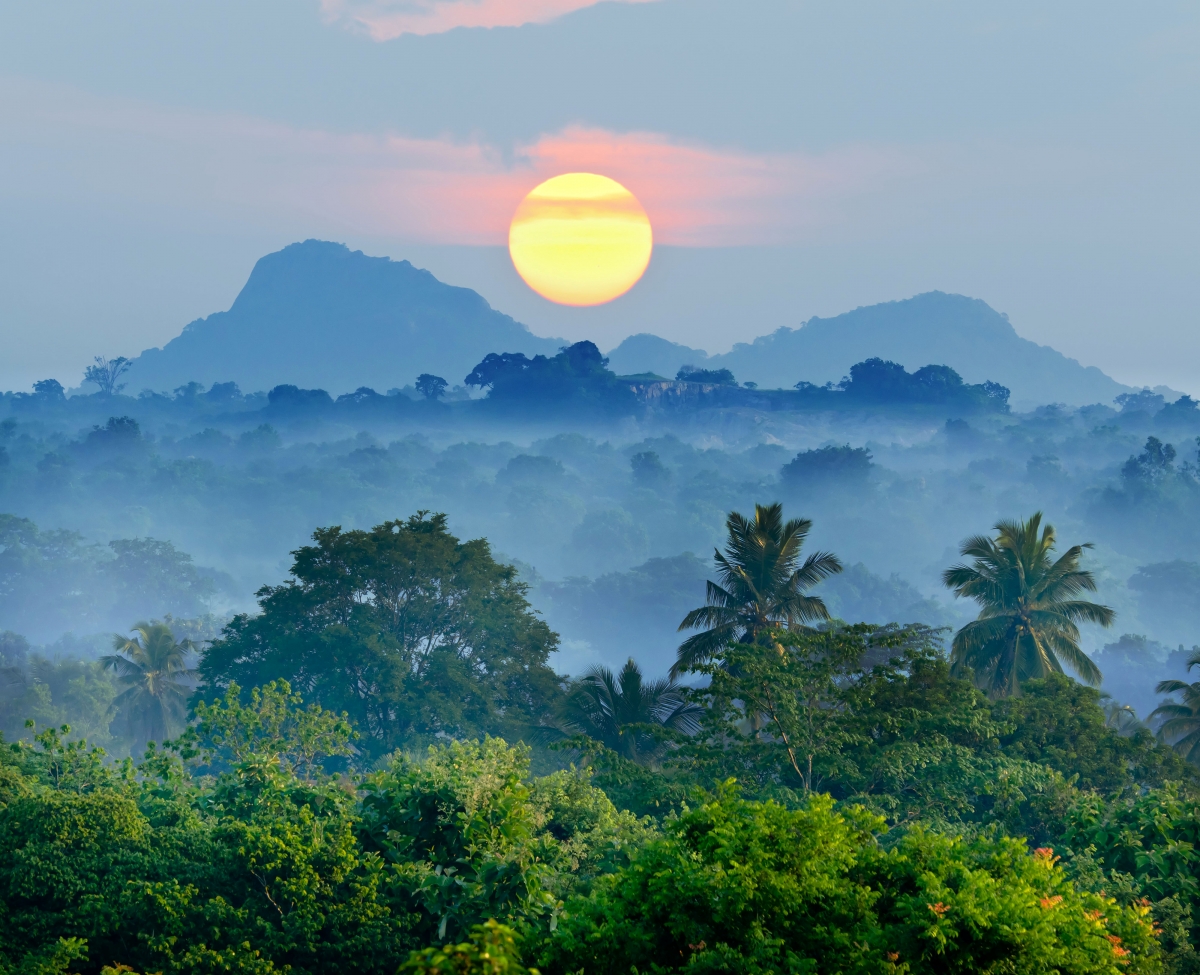 Tropical forest mountain fog beautiful