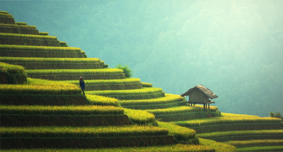 Autumn Terraced Fields Women Landscape 7K Wallpaper