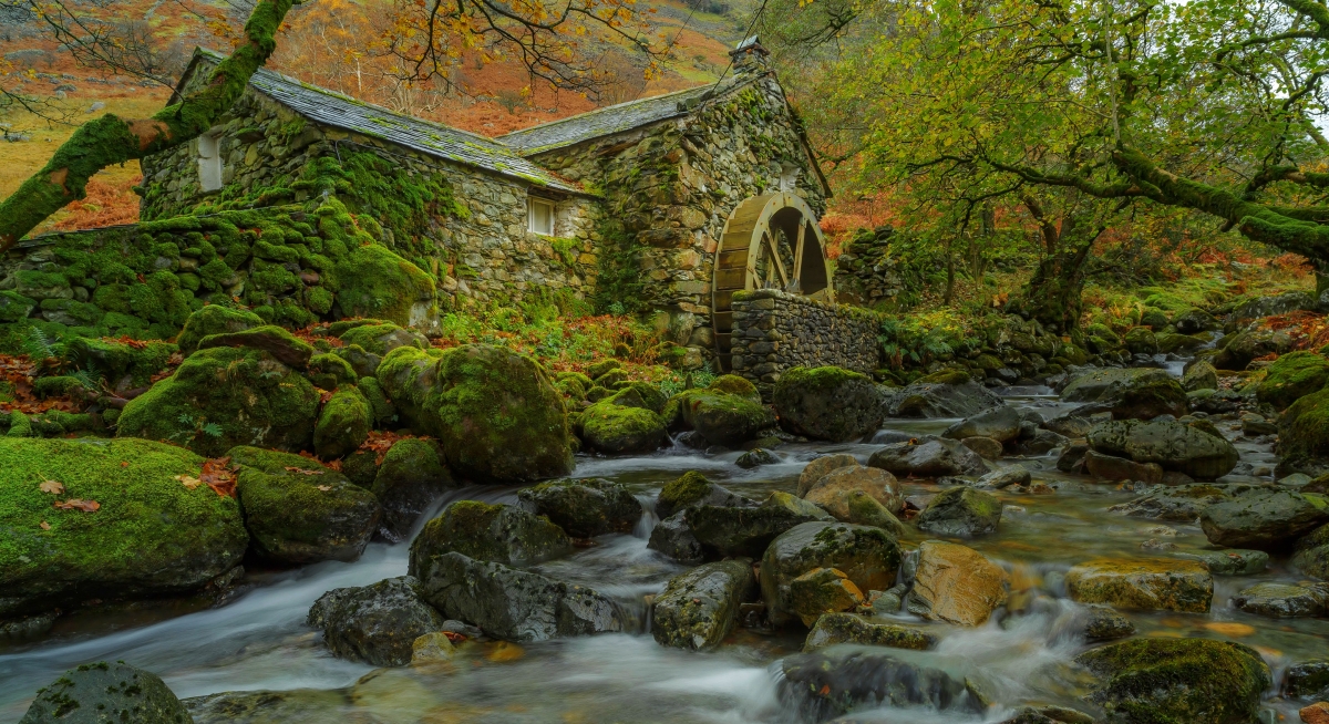 Autumn leaves trees river rocks