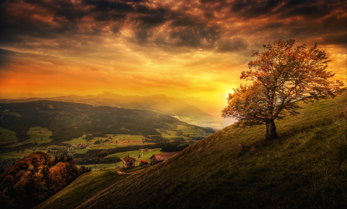Autumn mountain country house woods