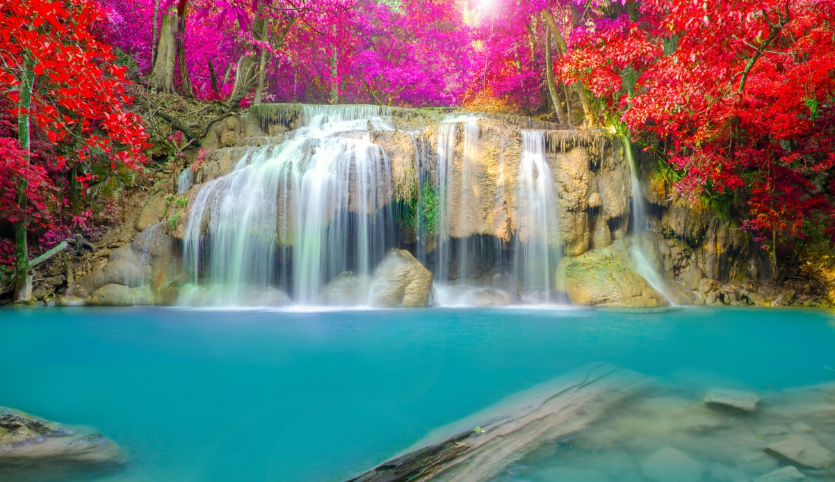 Autumn red leaves waterfall water