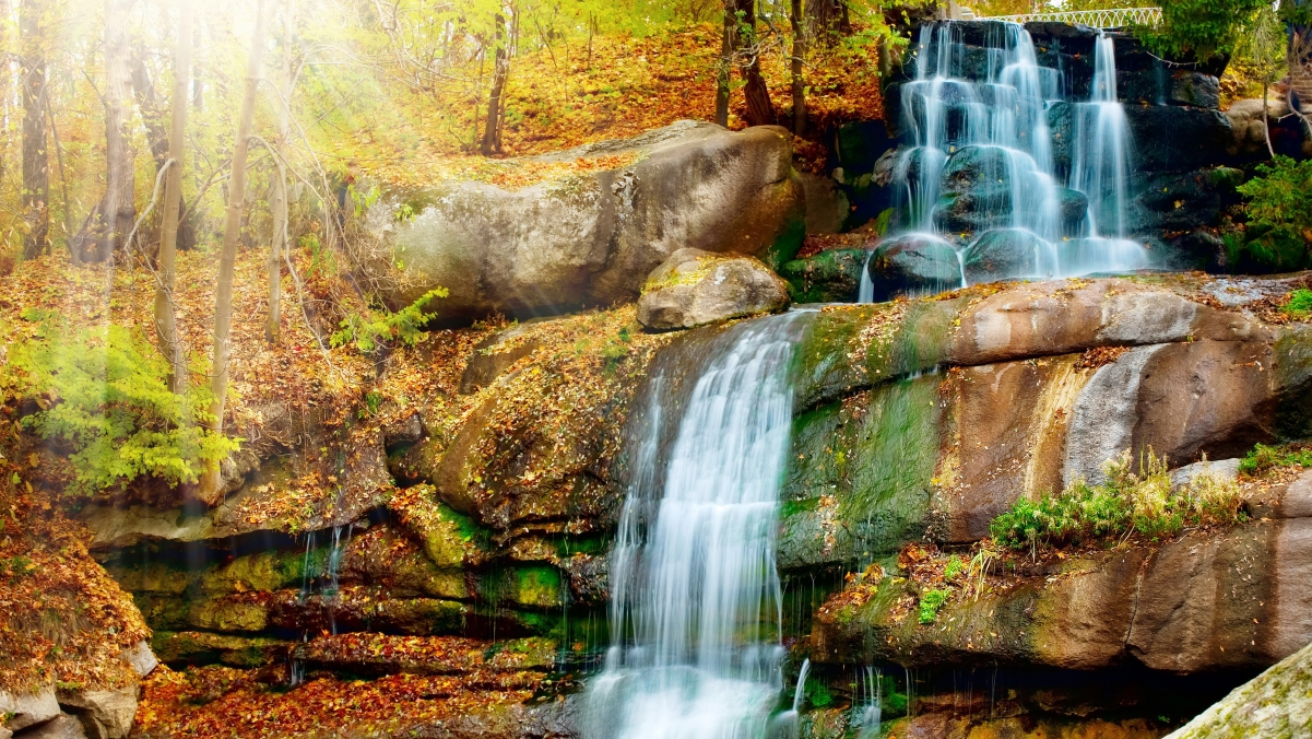 Autumn forest park creek waterfall