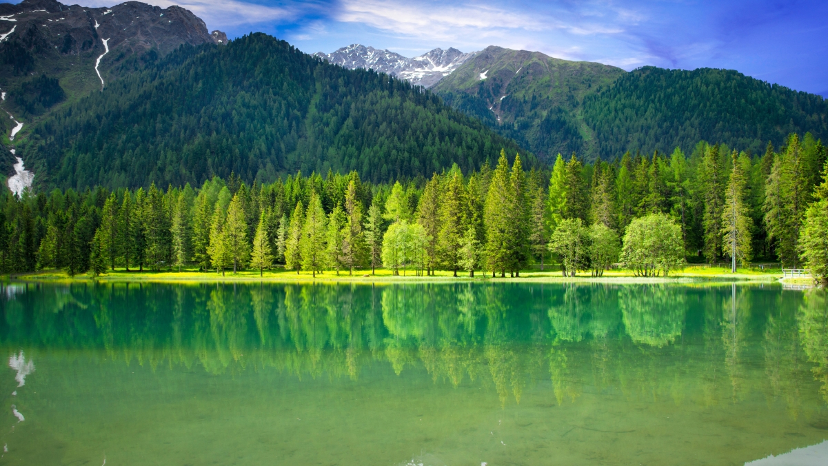Green hills and green waters green trees and woods