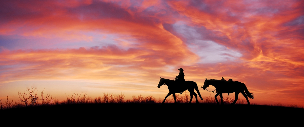 A girl riding a horse at twilight sunset 34