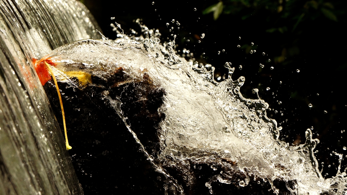 Waterfall water flower leaf photography 4k picture