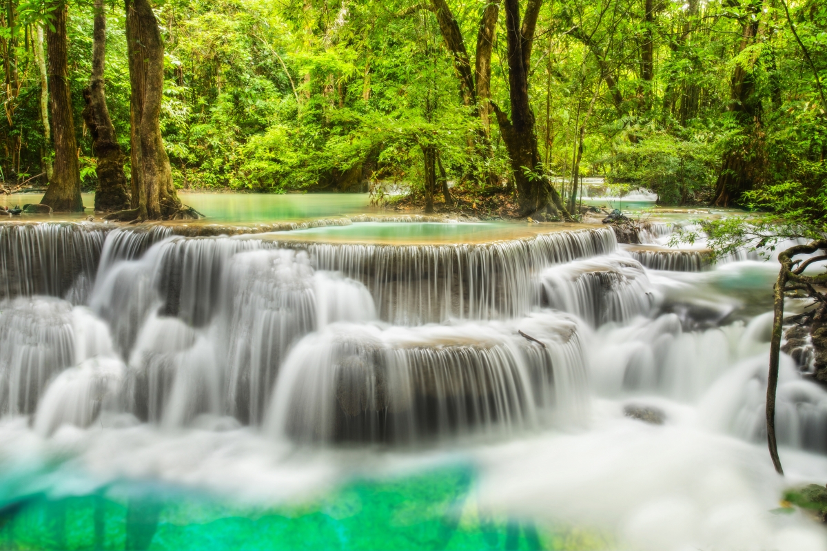 Waterfall green forest scenery 4K wall